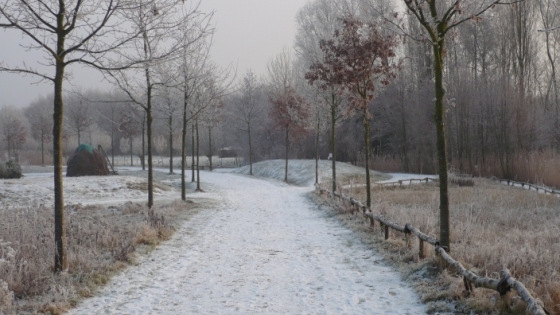 wandelpad bedekt met sneeuw in Groene Long
