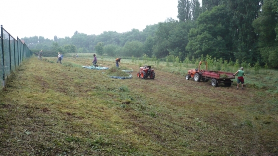droog grasveld wordt handmatig bewerkt en met traktor
