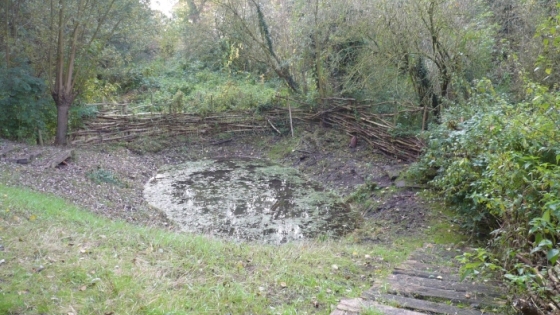 waterpoel omringd door bos afgesloten met natuurlijke omheining uit takken