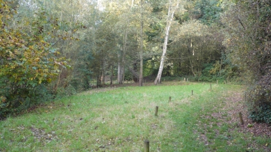 wandelpad in een bog rond grasveld omringd met bomen in Heulebeekdomein