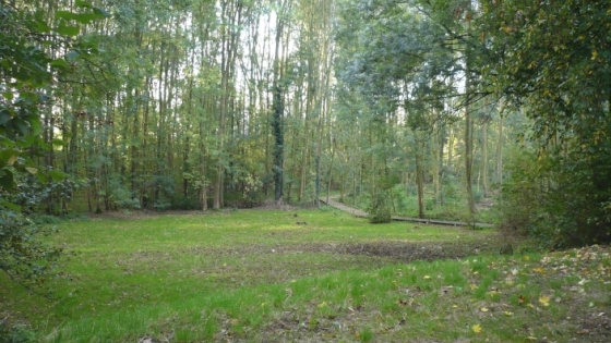 zeggeveld in Heuelebeekdomein bestaande uit een grasveld omringd oor hoge bomen